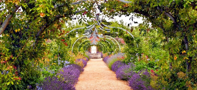 Elle a tout repensé autour de rosiers grimpants : voici comment avoir les mêmes arches fleuries que Khloé Kardashian dans votre jardin