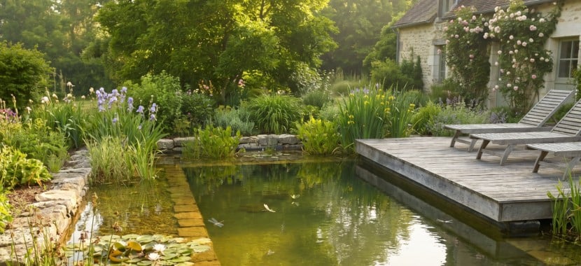 piscine naturelle