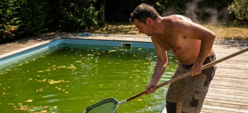Piscine verte en pleine canicule : voici la routine express qui vous évitera la catastrophe